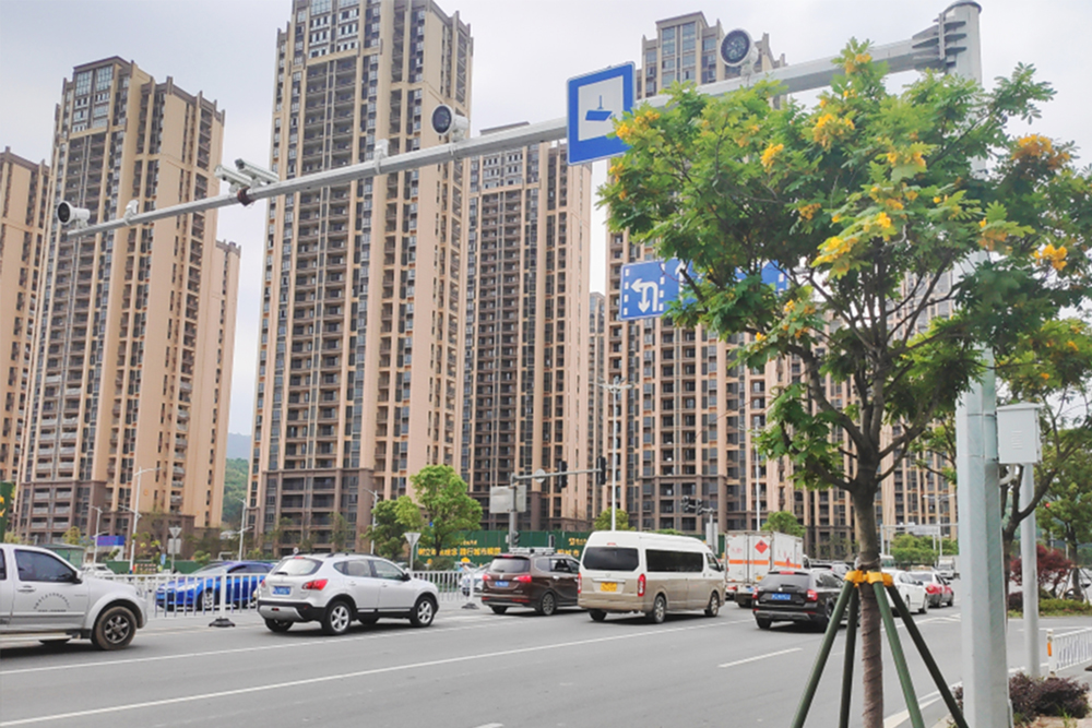 2023��ĳ�����ֶ�����Ŀ