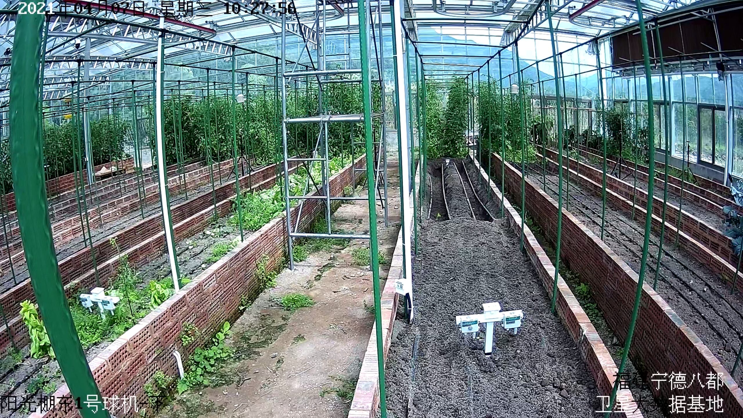 k8����(�й�)����Ӯ�ҡ�һ������