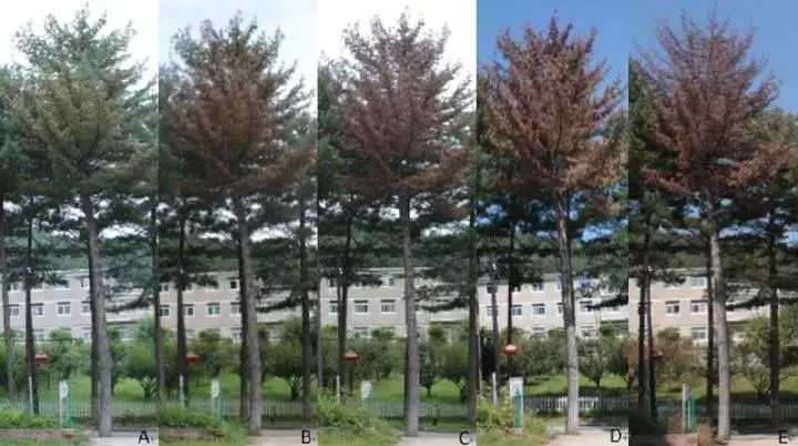 undefined k8凯发(中国)天生赢家·一触即发