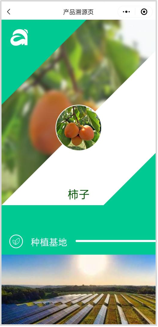 undefined k8凯发(中国)天生赢家·一触即发
