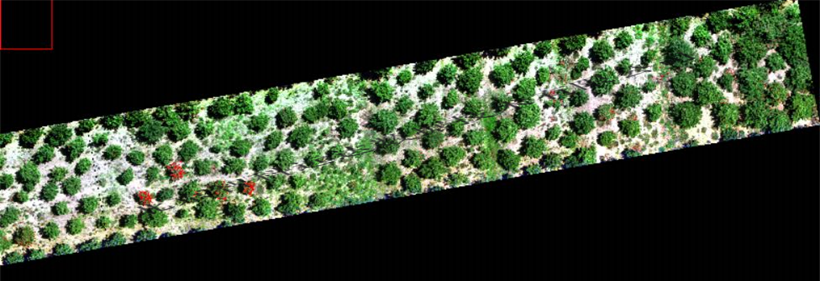 ͼƬҪº¦´Ê ͼƬҪº¦´Ê