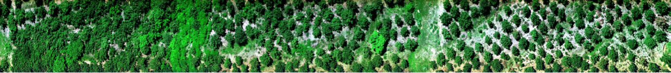 ͼƬҪº¦´Ê ͼƬҪº¦´Ê