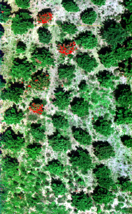 ͼƬҪº¦´Ê ͼƬҪº¦´Ê