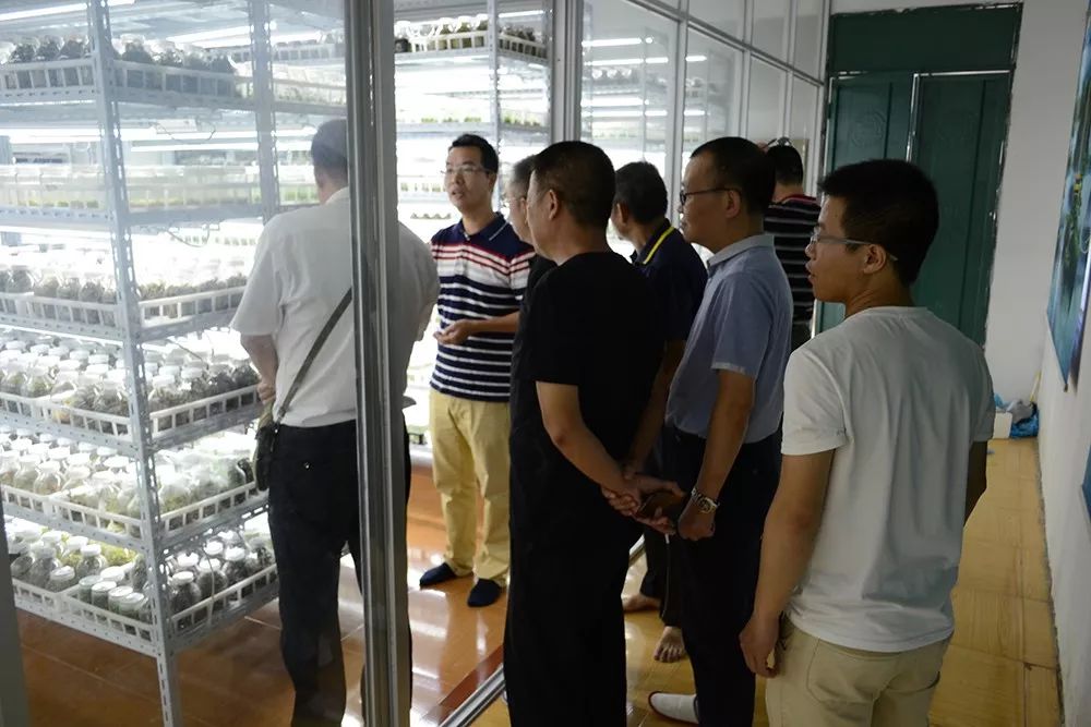 图片要害词 图片要害词