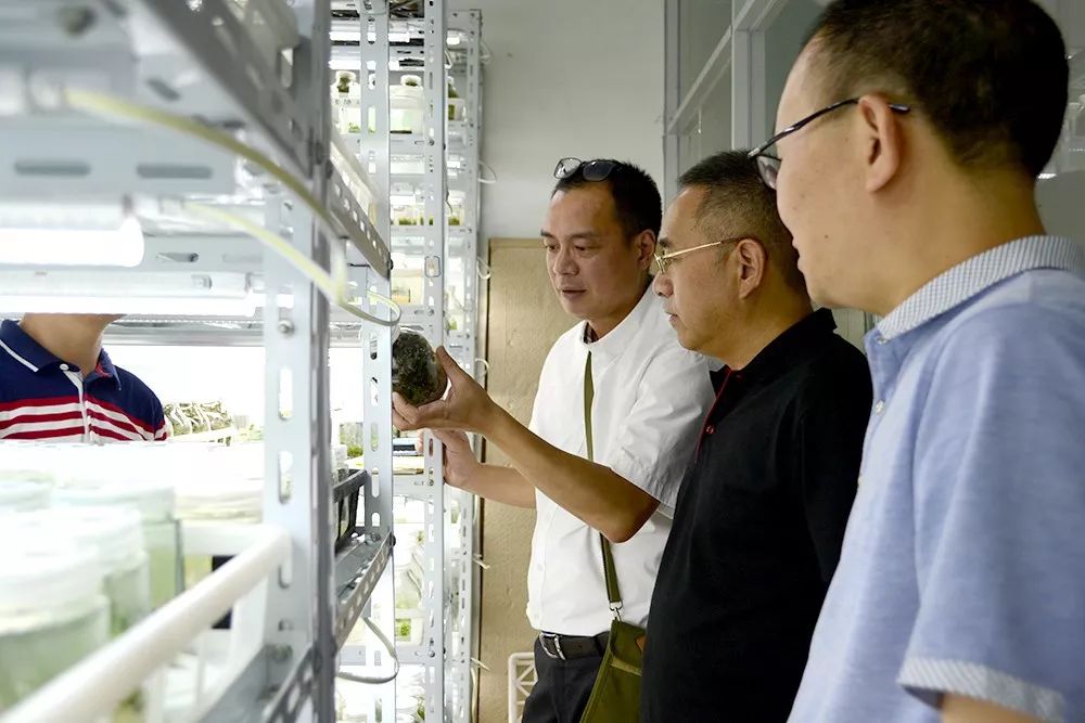 图片要害词 图片要害词