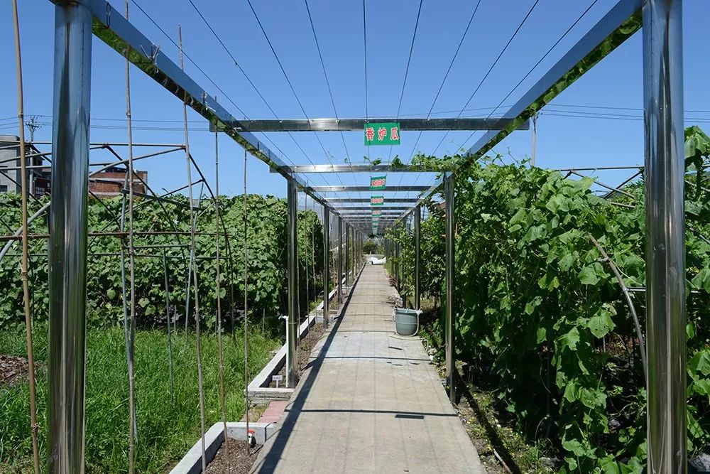 图片要害词 图片要害词