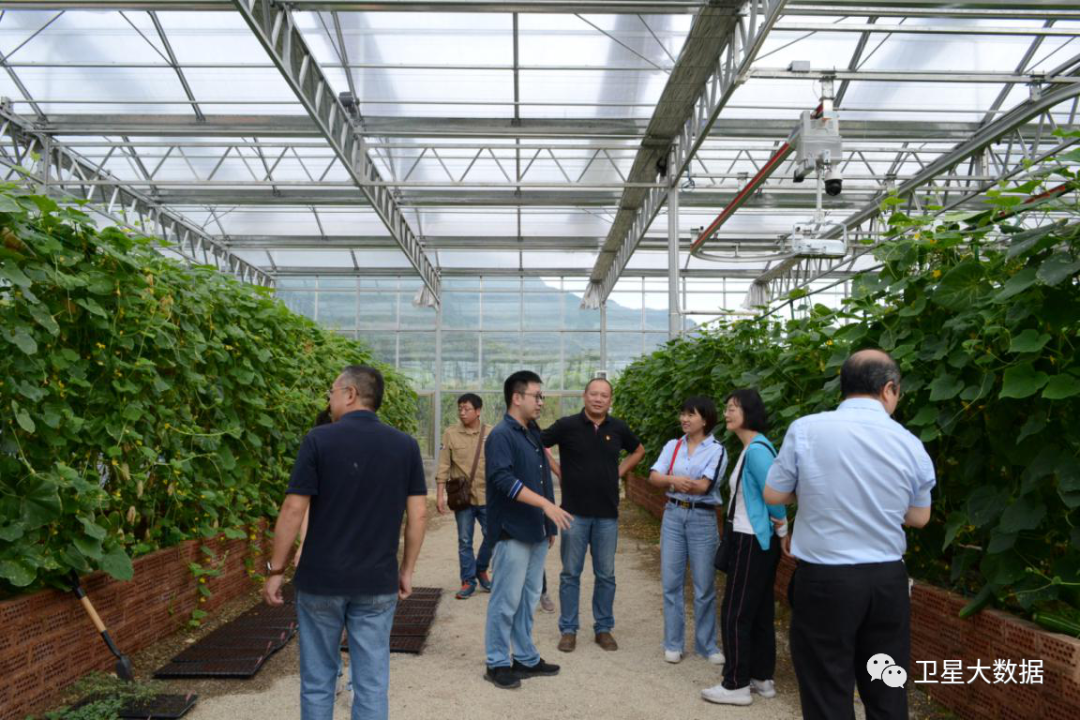 图片要害词 图片要害词