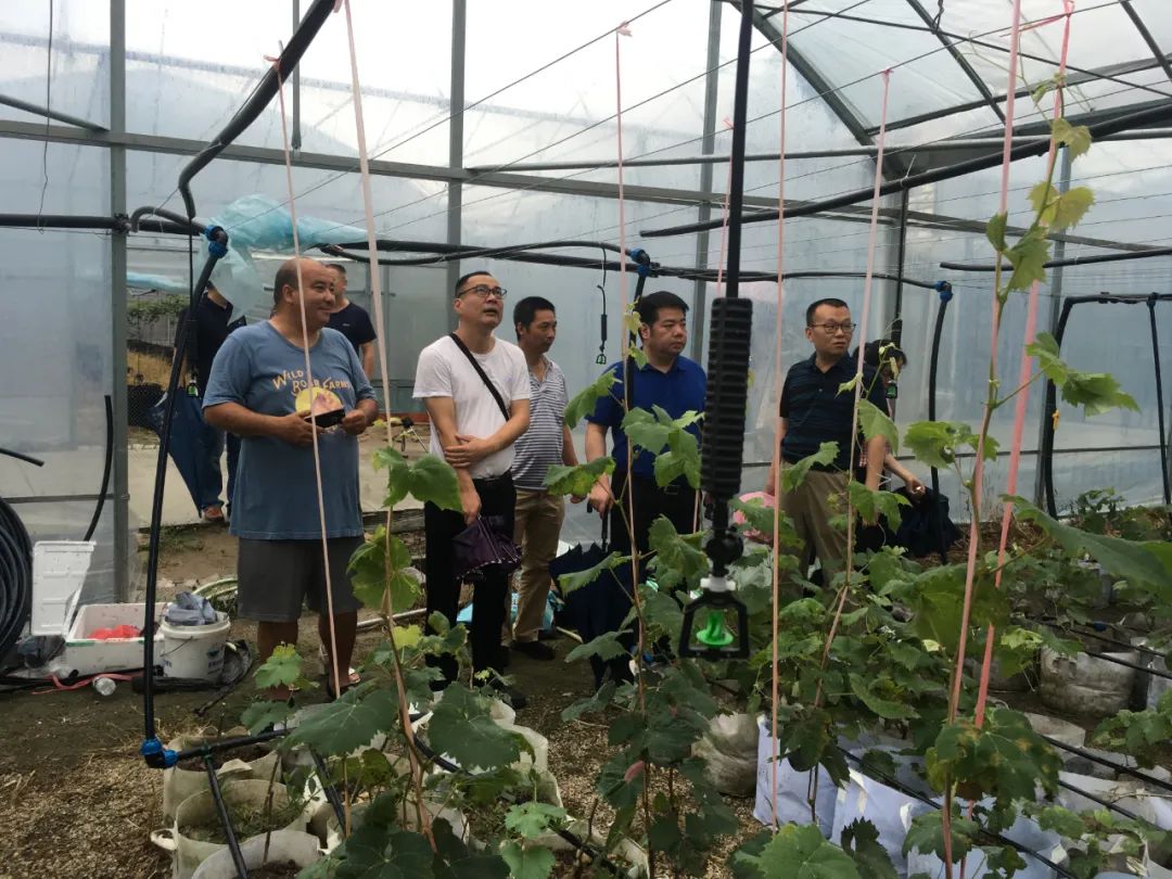 ͼƬҪº¦´Ê ͼƬҪº¦´Ê