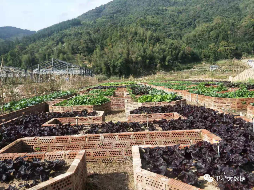 ͼƬҪº¦´Ê ͼƬҪº¦´Ê