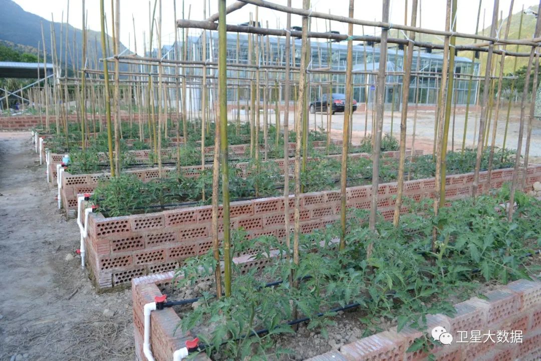 ͼƬҪº¦´Ê ͼƬҪº¦´Ê