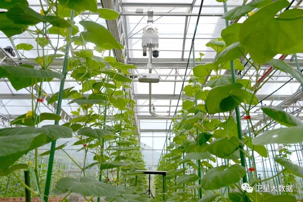 ͼƬҪº¦´Ê ͼƬҪº¦´Ê