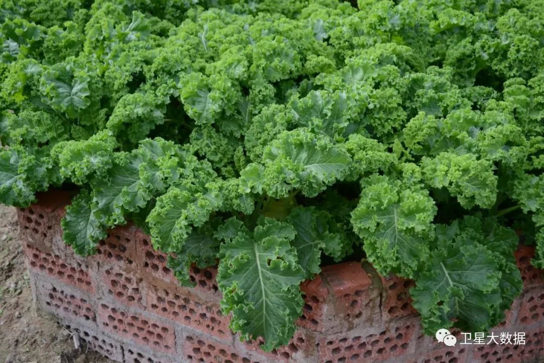 图片要害词 图片要害词