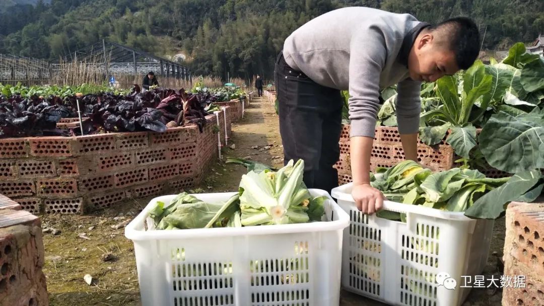 图片要害词 图片要害词