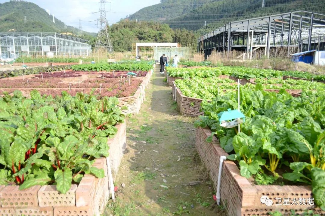 图片要害词 图片要害词