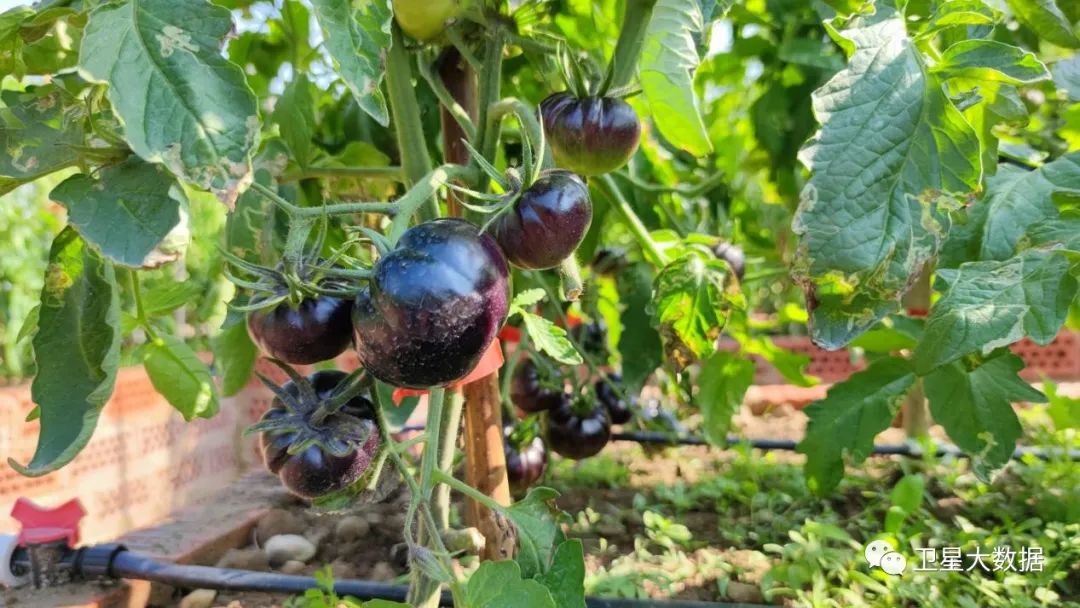 图片要害词 图片要害词