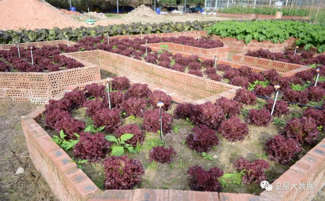 图片要害词 图片要害词