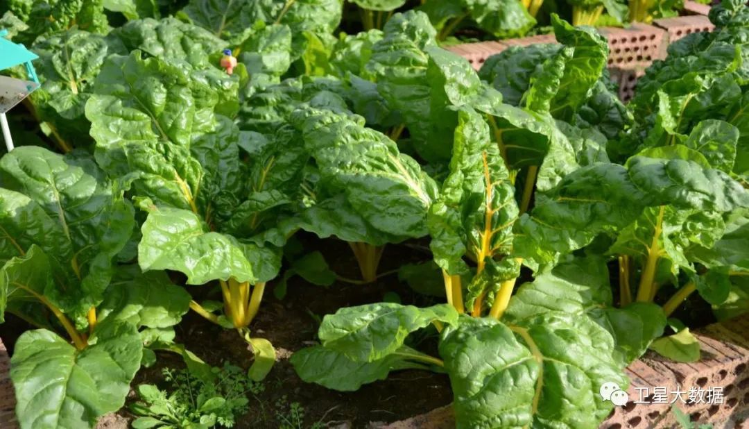 图片要害词 图片要害词