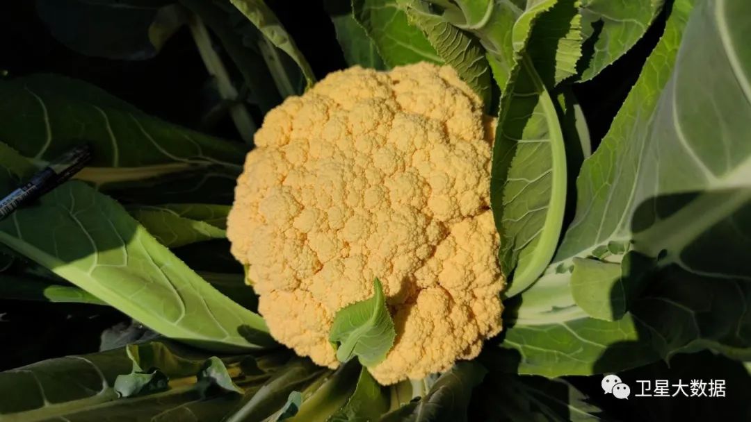 图片要害词 图片要害词