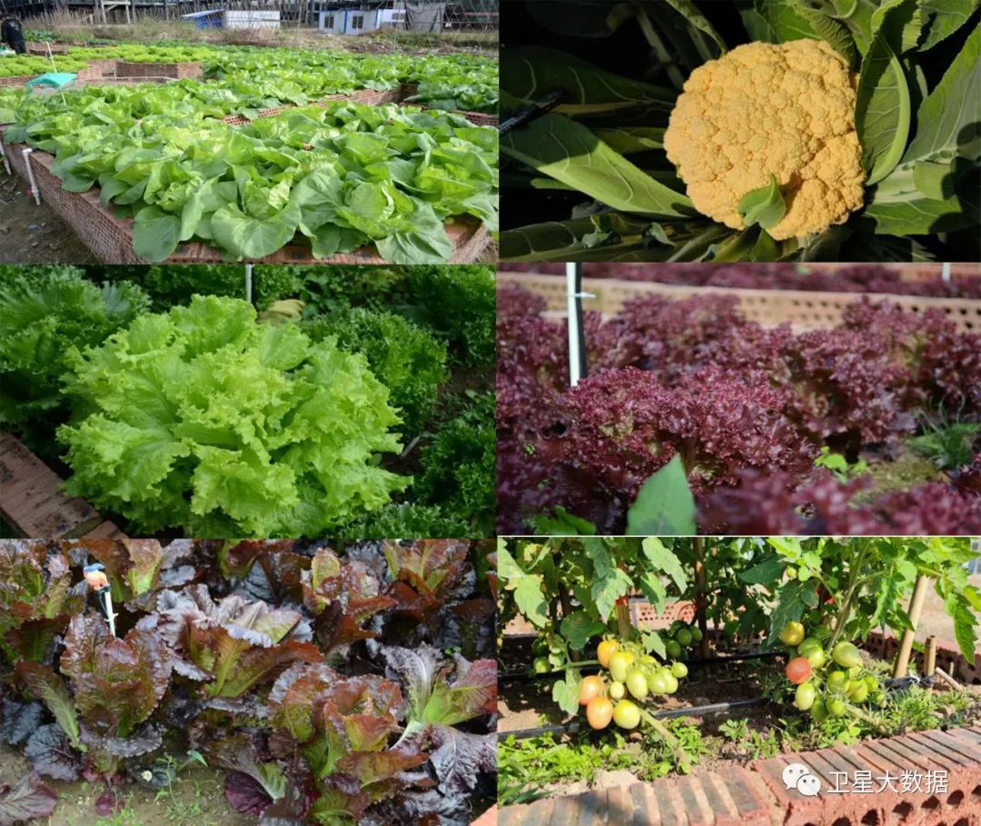 图片要害词 图片要害词