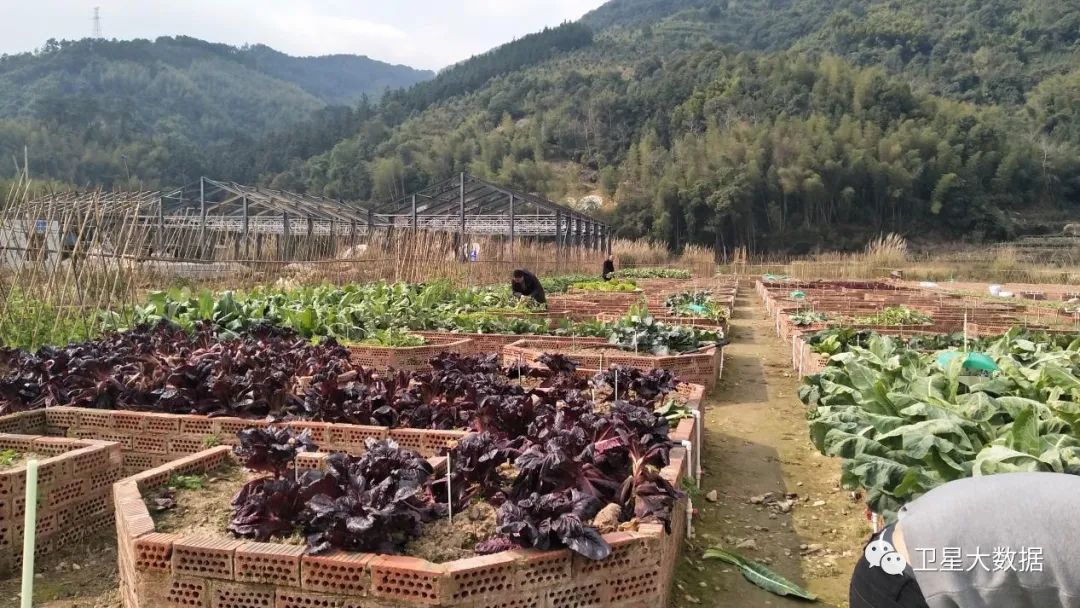 图片要害词 图片要害词