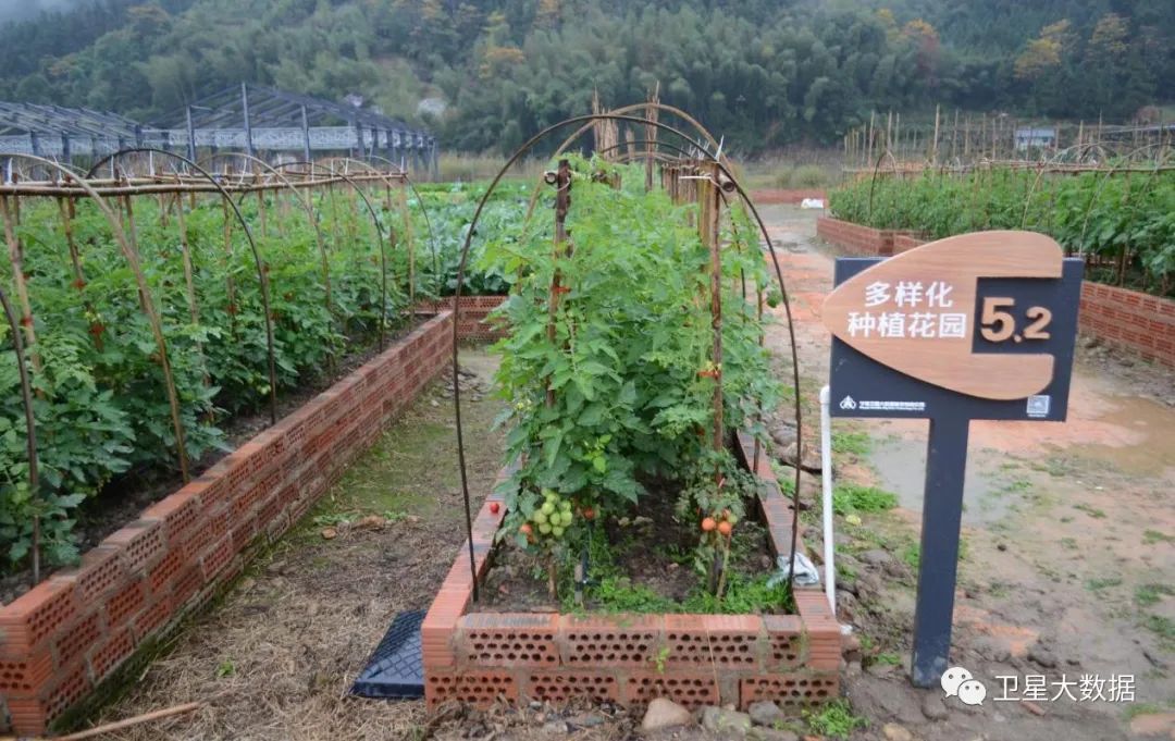 图片要害词 图片要害词