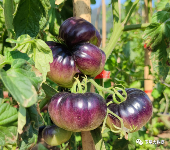 图片要害词 图片要害词