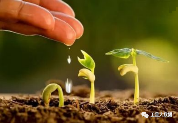 图片要害词 图片要害词