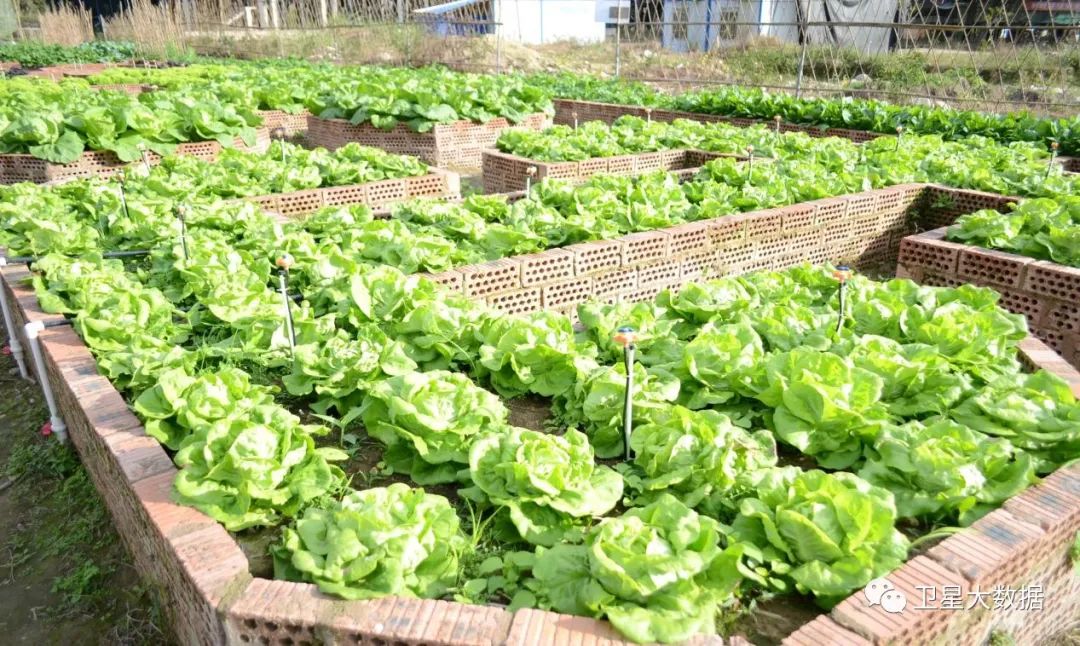 图片要害词 图片要害词