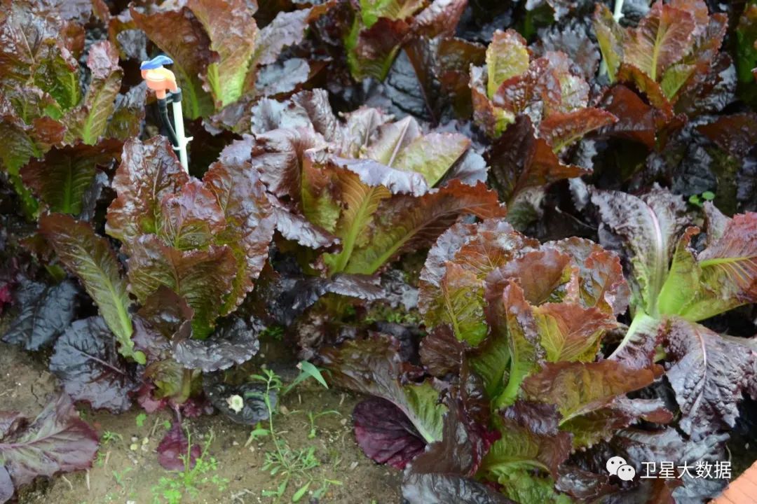 图片要害词 图片要害词