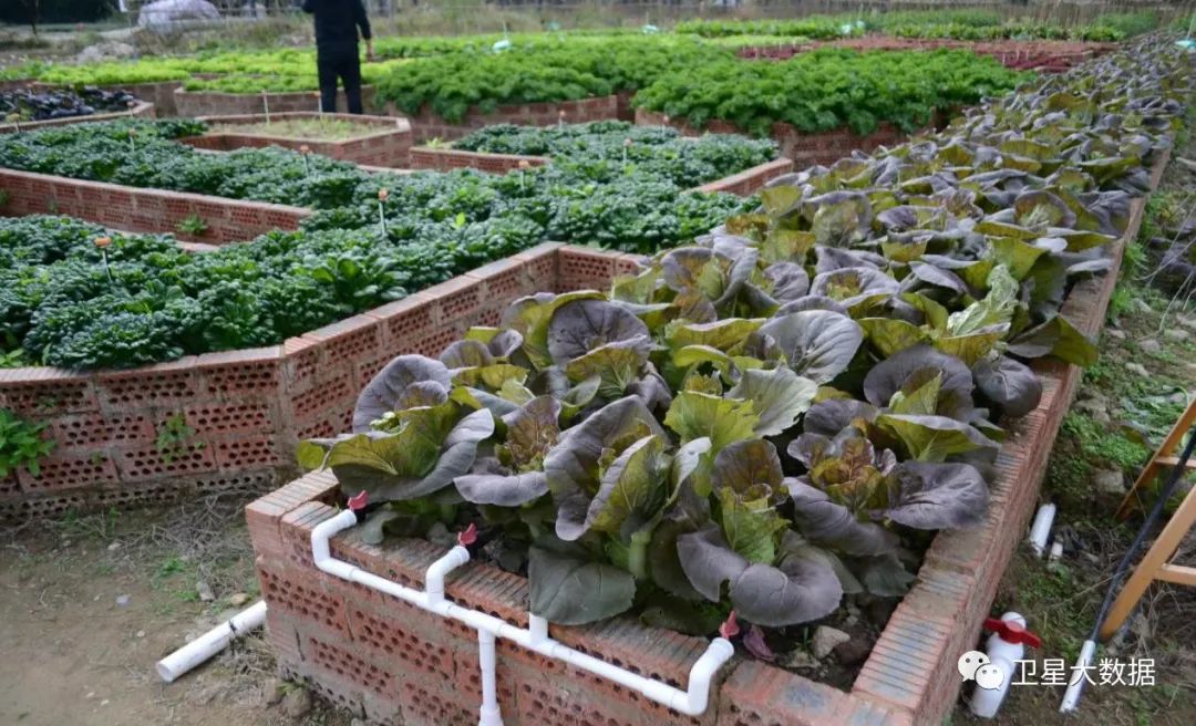 图片要害词 图片要害词