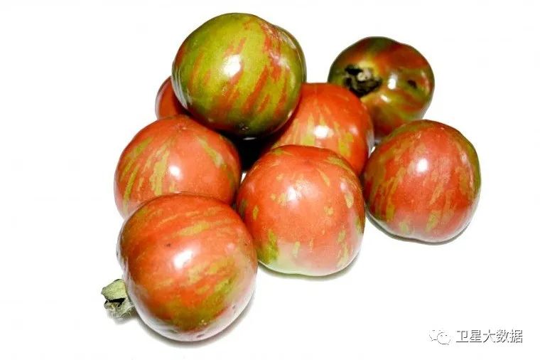 ͼƬҪº¦´Ê ͼƬҪº¦´Ê