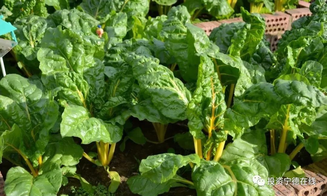 ͼƬҪº¦´Ê ͼƬҪº¦´Ê