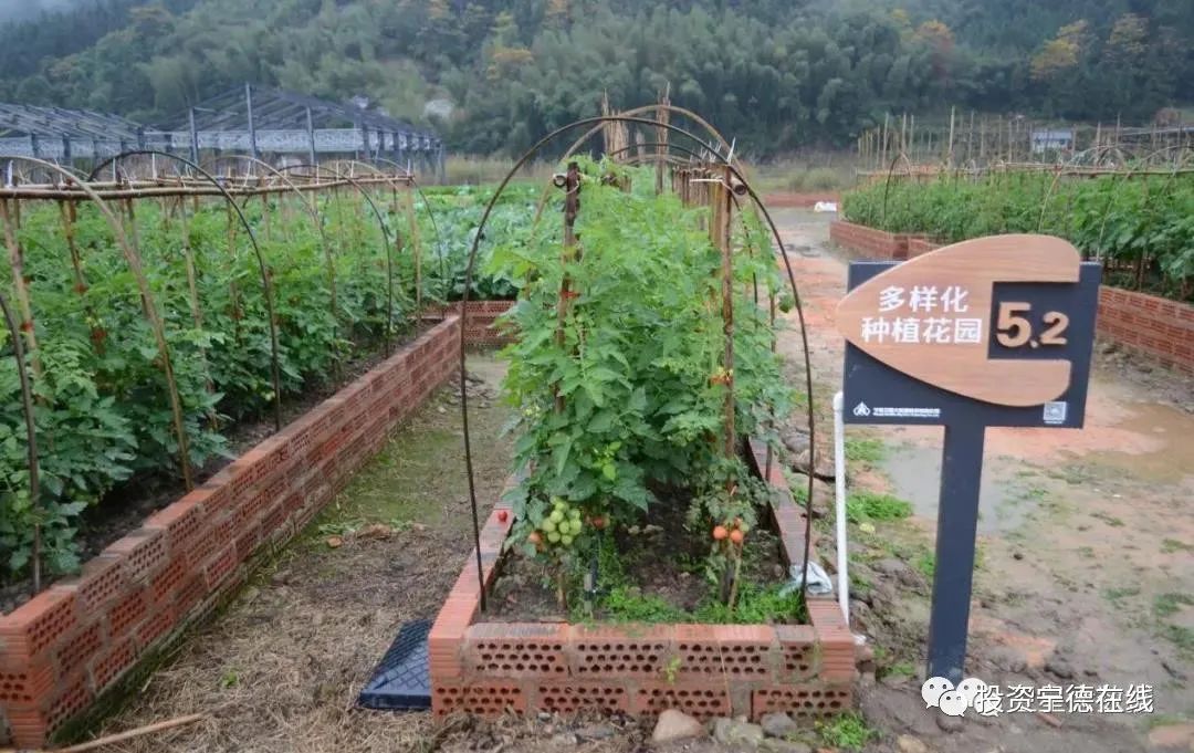 ͼƬҪº¦´Ê ͼƬҪº¦´Ê