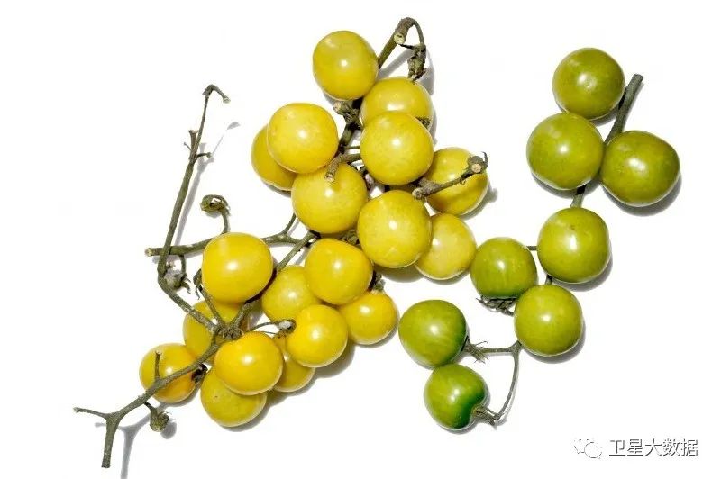 ͼƬҪº¦´Ê ͼƬҪº¦´Ê