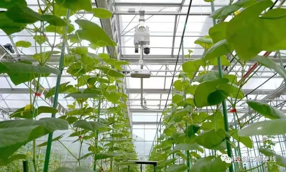 ͼƬҪº¦´Ê ͼƬҪº¦´Ê