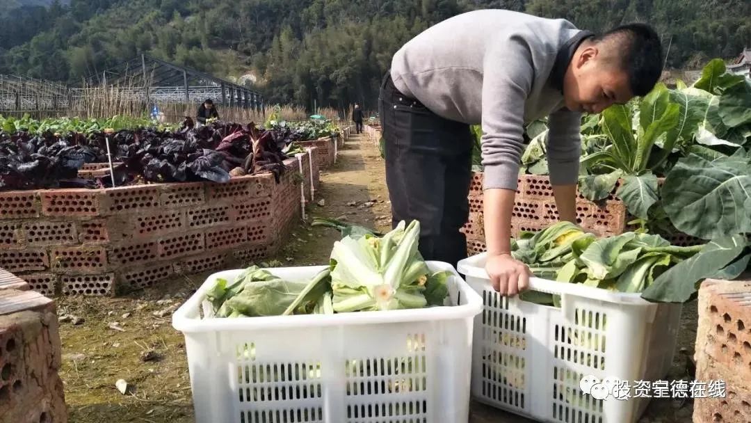 ͼƬҪº¦´Ê ͼƬҪº¦´Ê