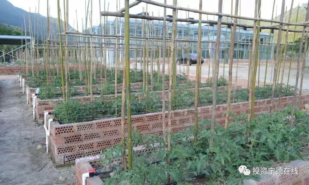 ͼƬҪº¦´Ê ͼƬҪº¦´Ê