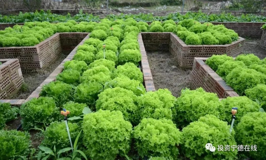 ͼƬҪº¦´Ê ͼƬҪº¦´Ê