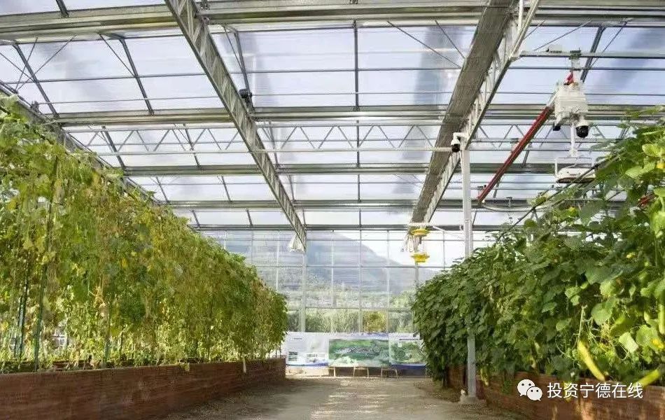 ͼƬҪº¦´Ê ͼƬҪº¦´Ê