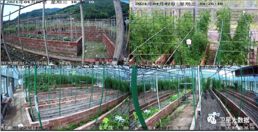 ͼƬҪº¦´Ê ͼƬҪº¦´Ê