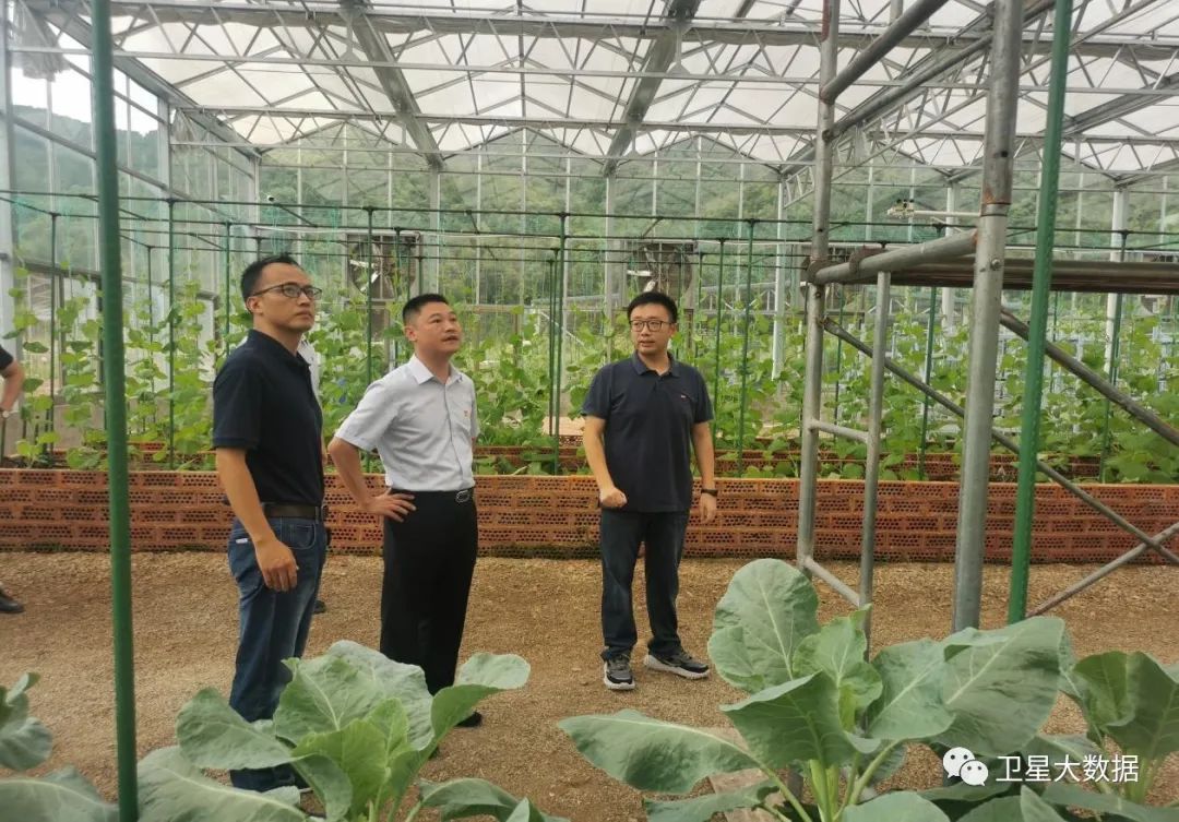 图片要害词 图片要害词