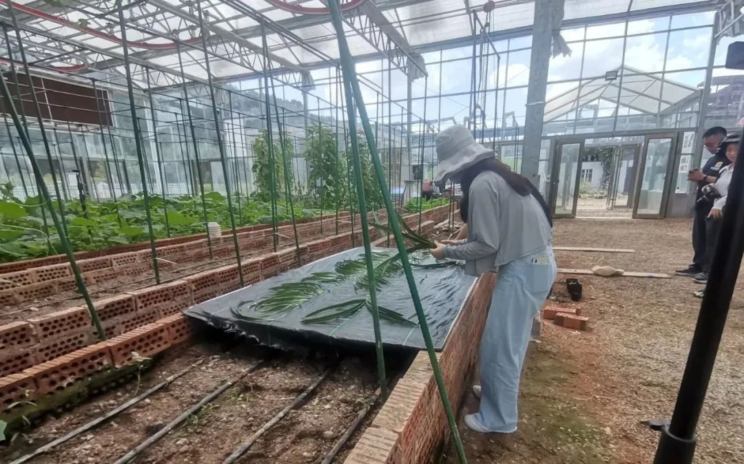 ͼƬҪº¦´Ê ͼƬҪº¦´Ê