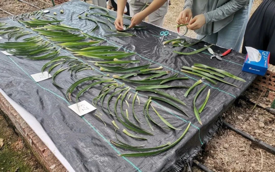 ͼƬҪº¦´Ê ͼƬҪº¦´Ê