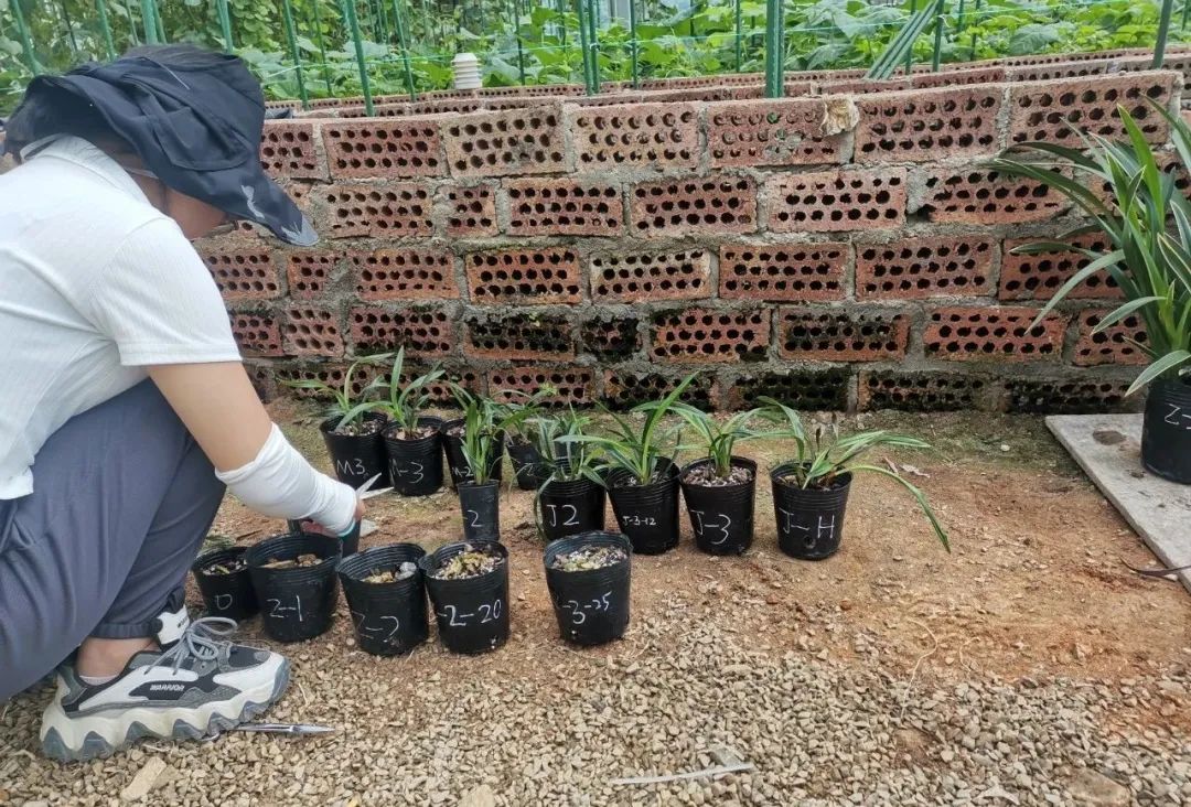 ͼƬҪº¦´Ê ͼƬҪº¦´Ê