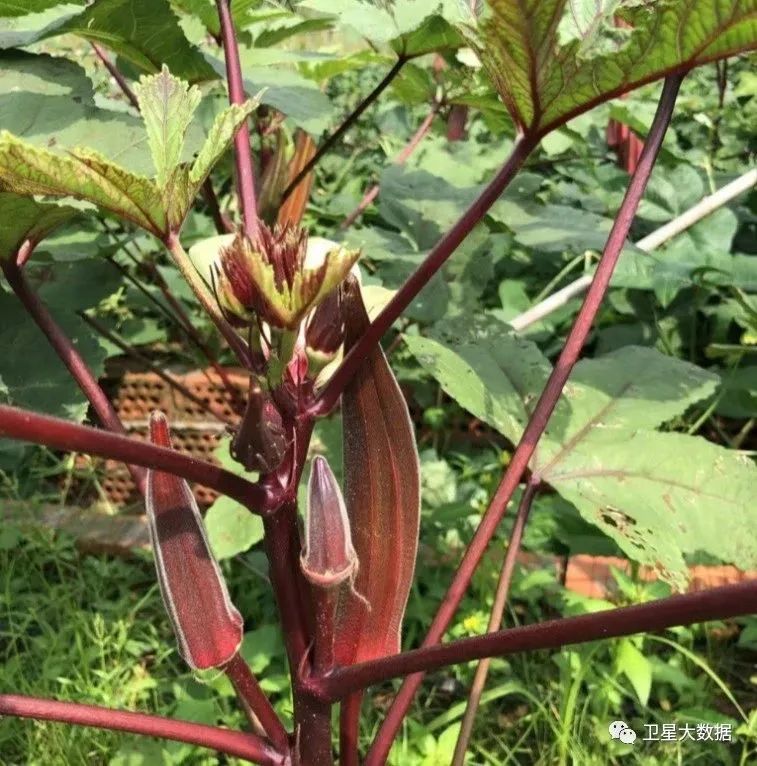 ͼƬҪº¦´Ê ͼƬҪº¦´Ê