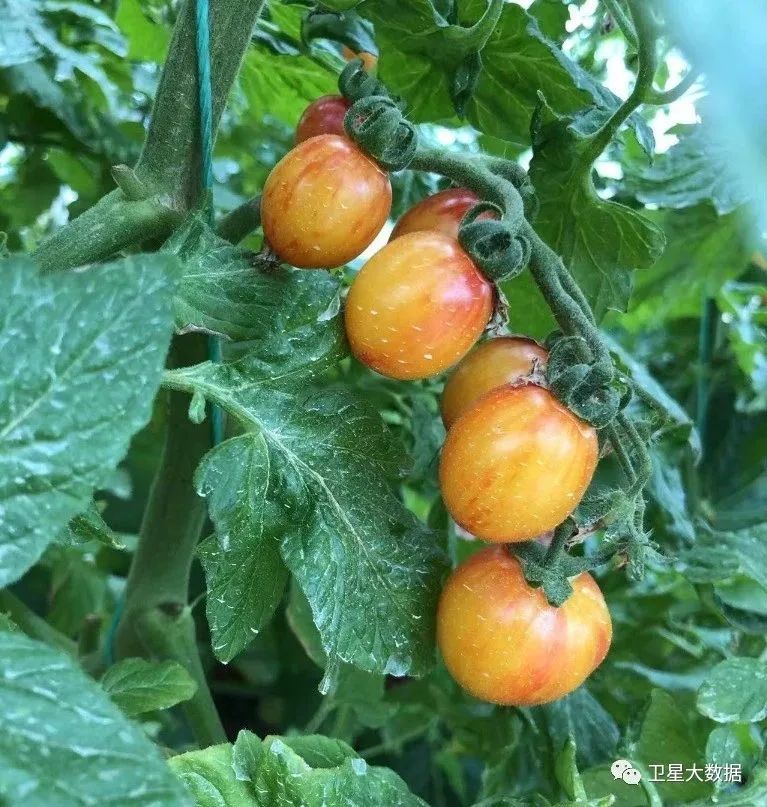 ͼƬҪº¦´Ê ͼƬҪº¦´Ê