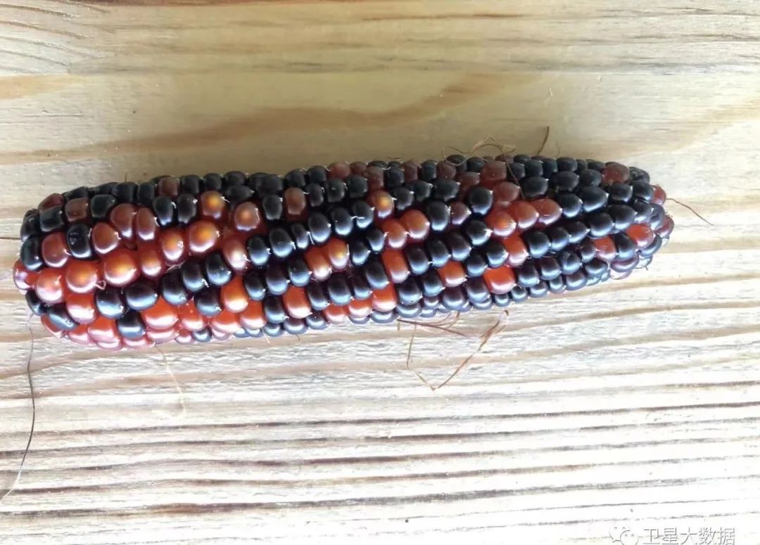 ͼƬҪº¦´Ê ͼƬҪº¦´Ê