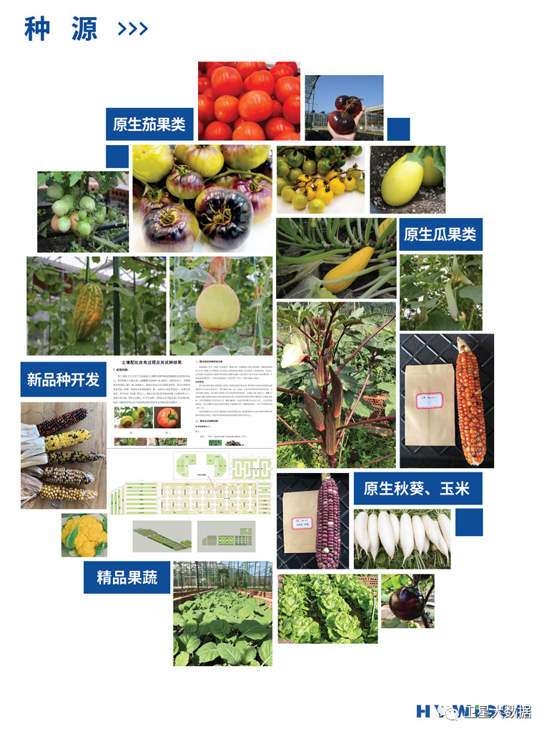 P13-P14.jpg ͼƬҪº¦´Ê