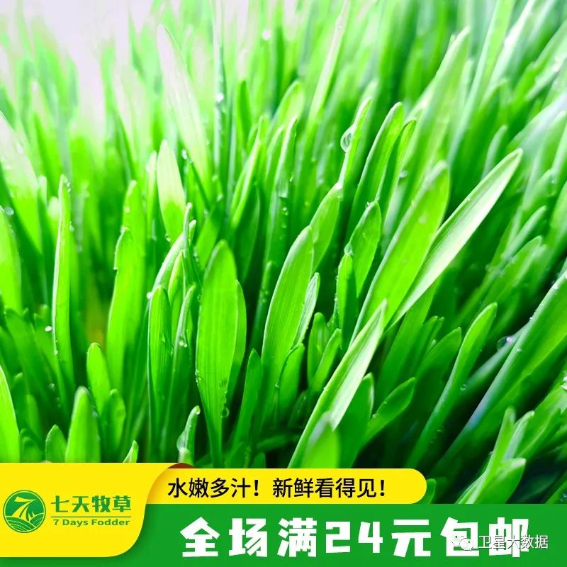 1687368480821494.jpg 6.jpg