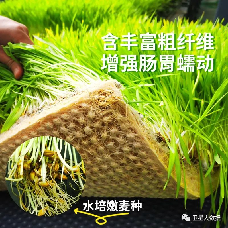 1687368495429180.jpg 7.jpg